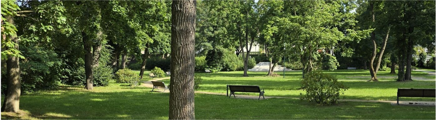 Schlosspark Lichterfelde, Gabriele Horn, 2025